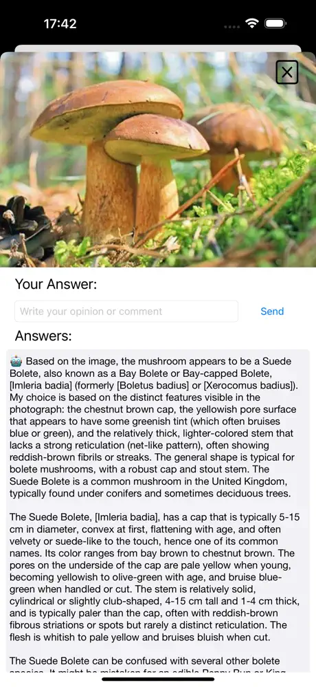 Зачем нужен определитель грибов